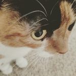 Renaenernerner - @parker_renae - Instagram