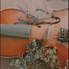 Renae white - @renae.white8 - TikTok