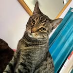 Muta Renaldo Moon Watson - @muta.the.menace - Instagram
