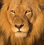 Renand Pierre Louis - Facebook