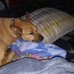 Isaac Renard Davis - @ike.zero - Instagram