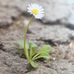 Renata Bosek - Facebook