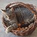 Renata Ginter - Facebook