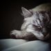 Renata Gross - Facebook