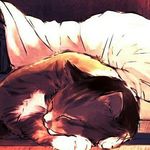 ♡i love cat's, and you?♡ - @renata_moore - Instagram