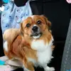 renatasueporter - @renatasueporter - TikTok