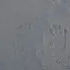 renatasobczak78 - @renatasobczak78 - TikTok