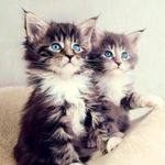 Renata Wilson - @renata.wilson.3551 - Instagram