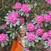 Renata Zuk - Facebook