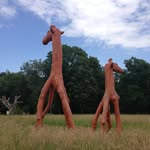 Renate Albrecht - @renate_albrecht - Instagram