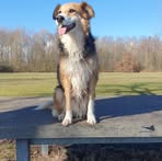 Renate Albrecht - Facebook
