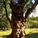 Renate Albrecht - @renatealbrecht37 - Instagram