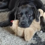 Renate John - @gothmum62 - Instagram