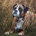 Renate Jordan - Facebook