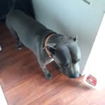 Renate King - @equalinmanyways - Instagram