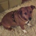 Renate Lang - @renatelang79 - Instagram
