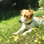 Renate Lang - @renate9578 - Instagram