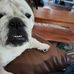 ReNae Lechner - Facebook