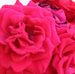 Renate Leuschner - Facebook