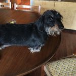 Renate Long - @longrenate - Instagram