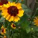 Renate Thompson - Facebook