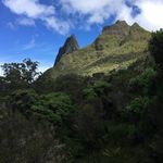 Renate Thompson - @renate.thompson3 - Instagram