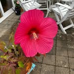 Renate Walker - @renatewalker66 - Instagram