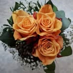Renate Weber - Facebook