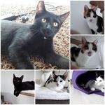 Renate Weber - @renate.weber.7359 - Instagram