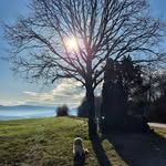 Renate Weber - @renate_weber82 - Instagram