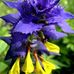 Renate Wichmann - Facebook