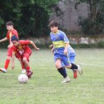 Renato Augusto Barth Mendes - @renato_augusto_012 - Instagram