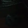 Renato Avalos - @renatoavalos2 - TikTok