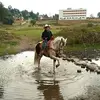 Renato Avalos Flores - @renato.avalos.flo - TikTok