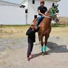 renatoavalos79 - @renatoavalos79 - TikTok