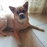 renato Basile - @renato_basile_ - Instagram