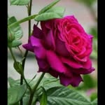 Renato Cabrera - @renato.cabrera.5201 - Instagram