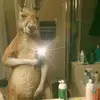 Renato Cabrera - @renato.cabrera5 - TikTok