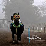 Renato Calderón - @renato28772 - Instagram