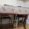 Renato Cedillo - @renato.cedillo - TikTok