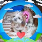 Renato Cedillo - Facebook