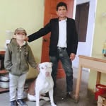 Renato Cisneros - @renato.cisneros.940 - Instagram