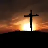 Renato Cordeiro - @renato.cordeiro33 - TikTok