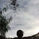 renato delgado - @renaato25 - Instagram
