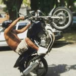 Renato Donato - @renato.donato - Instagram