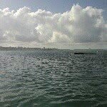 @renato_donato - Instagram