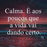 Renato Feijó - @renato.feijo.313 - Instagram