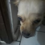 Renato Galindo Pardo - @renatogalindo1 - Instagram