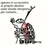 Renato Gargiulo - @rengargiulo - Instagram