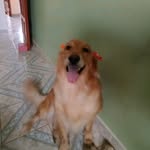 Renato Guzmán - @renato_99guzman - Instagram